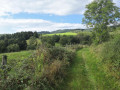 Paysage champêtre avant le hameau Fond