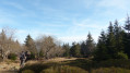 Paysage de forêts et tourbières