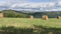 Paysage de Haute Loire