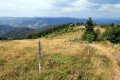 Paysage de la vallée de Munster depuis le Steinberg