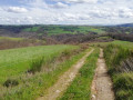 Paysage du plateau