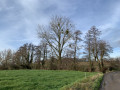 À la découverte de la Haute Wanze