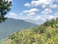 Paysage le long de la montée