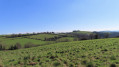 Boucle de Puy de Bar à Moulares