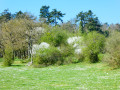 Dans la vallée de la Wimbe vers Pondrôme