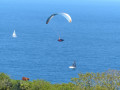 Parapente