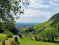 Randonnée panoramique autour de Kappelrodeck