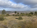 Pelouse du Moulin à vent