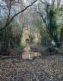 Petit pont de pierres et chemin