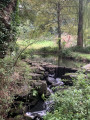 Petite cascade du ruisseau du Bois de Porcé