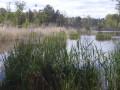 Petite lagune près du stade