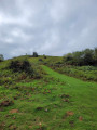 Petite montée vers les pottoks