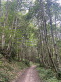 Boucle entre le Col de la Croix du Ban et le Col de la Luère