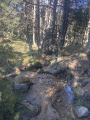 Du Coll de Creu à Caudiès-de-Conflent en boucle