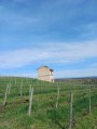 pigeonnier et vignes