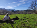 Pique-nique avec vue sur les Pyrénées