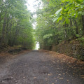 Piste de montée