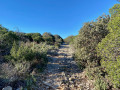 Piste du bois Redon