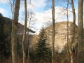 Piste menant vers le col du Lhéris