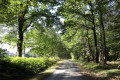 Piste près du bois de Courtaillet