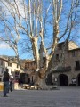 Place de St Guilhem