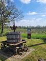 De vignes en forêts dans le Frontonnais