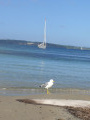 Plage du Langoustier