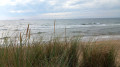 Forêt, plage et dunes à Hulsig