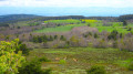 Plaine du Forez et Monts du Lyonnais