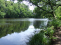 Promenade dans le Bois du Moustoir de Saint-Evazec