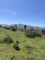 Plateau Bergerie en ruine de Toma