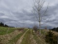 Plateau de Longchaumois