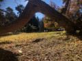 Plateau herbeux de la Cime