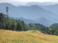 Point ::3:: Plantation de sapins et antenne de télécommunication