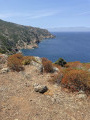 Chemin des douaniers à partir de Galéria