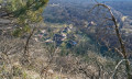 Point de vue bois de Chatillon