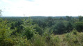 De Moret-sur-Loing &agrave; Fontainebleau &agrave; travers la for&ecirc;t