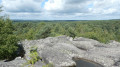 De Fontainebleau &agrave; Milly-la-For&ecirc;t &agrave; travers la for&ecirc;t