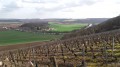 Point de vue du Vignoble