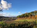 Point de vue en automne