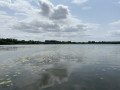 Point de vue et spot pause - marais d'Arleux