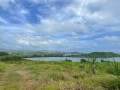 Pointe Banane et Bois Pothau