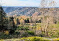 le Sentier des Brimbelles depuis Belfahy