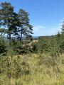 Boucle des points de vue à Peyzac-le-Moustier