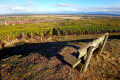 Point de vue sur Pfaffenheim