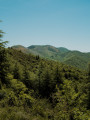 Haute-vallée de l'Orb - D'Avène au Rieussec par le Peyreguille