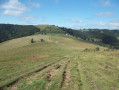 Chaumes du Thannerhubel et du Rossberg depuis Bourbach le Haut