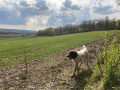 Point du vue proximité FERME NOTRE DAME