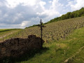 Croix sur le chemin, entre vignes et champs