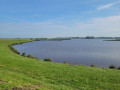 Naturschutzgebiet Polder Holter Hammrich